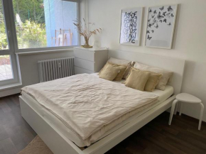 Apartmán Luhačovice II., Luhacovice